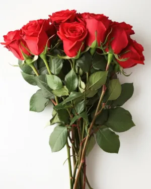 Red Roses Bouquet